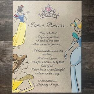 Disney Princess Themed Art Print on Canvas